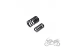 SPRING SET, VALVE ATV250 ST-9E