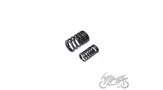 SPRING SET, VALVE ATV250 ST-9E