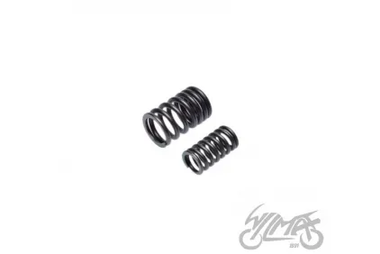 SPRING SET, VALVE ATV250 ST-9E