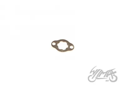 PLATE, ENGINE SPROKET SEC. ATV 250 STXE