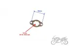 PLATE, ENGINE SPROKET SEC. ATV 250 STXE