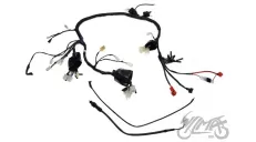 WIRING HARNESS ATV 250 STXE