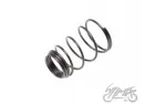 SPRING, OIL FILTER ATV 150 AUTOMATIC