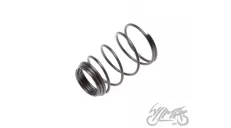 SPRING, OIL FILTER ATV 150 AUTOMATIC