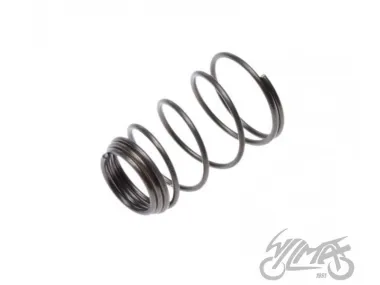 SPRING, OIL FILTER ATV 150 AUTOMATIC