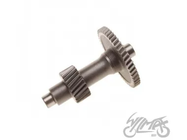 GREIČIŲ DĖŽĖS DANTRATIS 150CC