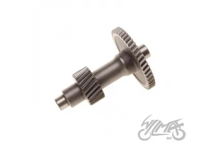 GREIČIŲ DĖŽĖS DANTRATIS 150CC