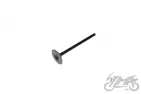 VALVE, INLET XY150-17