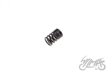 SPRING, VALVE OUTER FOR SHINERAY XY125-10D