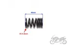 SPRING, VALVE OUTER FOR SHINERAY XY125-10D