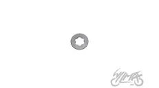 WASHER, CLUTCH LOCK NUT FOR SHINERAY XY125-10D