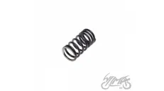 SPRING, VALVE SMALL ATV XY 250ST-9C