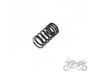 SPRING, VALVE SMALL ATV XY 250ST-9C