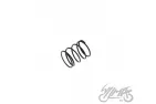 RETURN SPRING, EXHUAST ROCKER ARM FOR FY250 CHOPPER