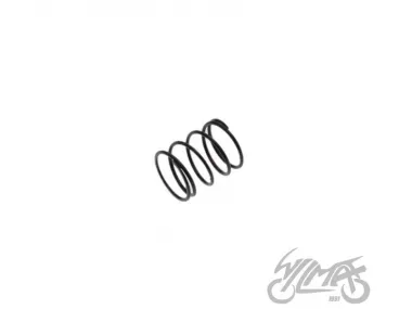 RETURN SPRING, EXHUAST ROCKER ARM FOR FY250 CHOPPER