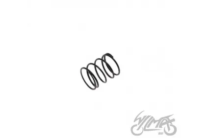RETURN SPRING, EXHUAST ROCKER ARM FOR FY250 CHOPPER