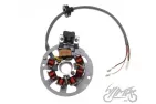 STATOR, GENERATOR/IGNITER WSCJ00440 2T