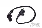 IGNITION COIL 4T JONWAY SHOTGUN