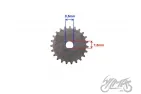 SPROCKET, OIL PUMP DRIVE N.A.125