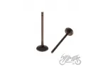 VALVE SET, IN. + EX. FOR ZIPP VZ-2