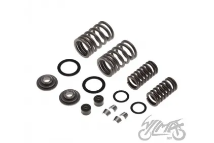 SPRING SET, VALVE FOR ZIPP VZ-2