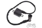 COILS ASSY, IGNITION FOR ZIPP VZ-2