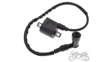 COILS ASSY, IGNITION FOR ZIPP VZ-2