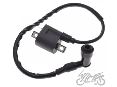COILS ASSY, IGNITION FOR ZIPP VZ-2