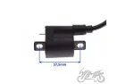 COILS ASSY, IGNITION FOR ZIPP VZ-2