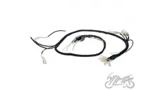 WIRING HARNESS JONWAY VIA