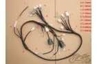 WIRING HARNESS JONWAY VIA