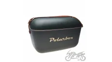 ŠALTKREPŠIS, KELIONINIS ŠALDYTUVAS POLARBOX AUKSO ŽALIAS 12L