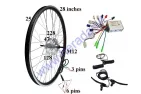 Rear wheel with motor for electric bicycle 36V 250W  Electron  EB21