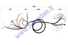 WIRING ASSEMBLY (WIRE HARNESS) FOR ELEKTRIC TRIKE MOBILITY SCOOTER