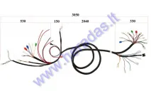 WIRING ASSEMBLY (WIRE HARNESS) FOR ELEKTRIC TRIKE MOBILITY SCOOTER