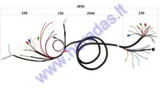 WIRING ASSEMBLY (WIRE HARNESS) FOR ELEKTRIC TRIKE MOBILITY SCOOTER MS04