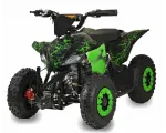 Electric quad bike Racer 1000W 48V
