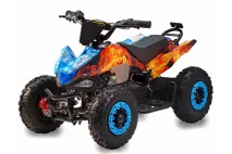 Electric quad bike Racer 800W 36V Electric quad bike Racer 800W 36V