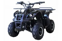 Electric quad bike HUNTER 48V 1000W