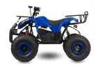 Elektrinis keturratis HUNTER PRO 48V 1000W su reduktorine pavara