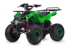 Elektrinis keturratis HUNTER PRO 48V 1000W su reduktorine pavara