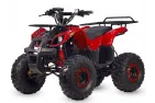 Elektrinis keturratis HUNTER PRO 48V 1000W su reduktorine pavara