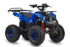 Elektrinis keturratis HUNTER PRO 48V 1000W su reduktorine pavara