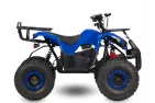 Elektrinis keturratis HUNTER PRO 48V 1000W su reduktorine pavara