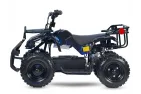 Electric quad bike HUNTER SUPER EDITION 800W