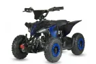Elektrinis keturratis Racer 1000W 48V