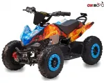 Elektrinis keturratis Racer 800W 36V