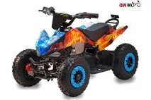 Electric quad bike Racer 800W 36V