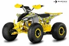 ELECTRIC QUAD BIKE VOLT EV