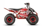 ELECTRIC QUAD BIKE VOLT EV